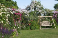 A swing-seat rests between a border of salvias, box balls and shrub roses. Behind, trained along a pergola and arbour is Rosa 'Paul's Himalayan Musk'.