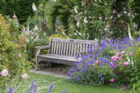 A bench is engulfed in hardy geranium 'Rozanne', fragrant roses and foxgloves.