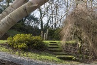 Steps lead up to the Magic Circle, a stone circle at The Garden House, Yelverton, Devon