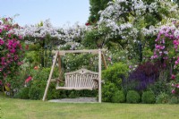 A swing-seat rests between a border of salvias, box balls and shrub roses. Behind, trained along a pergola and arbour is Rosa 'Paul's Himalayan Musk'. On right, Rosa 'Sir Paul Smith' 'Beapaul'