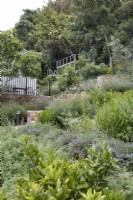 View of upper terrace and viewing deck across herb garden
