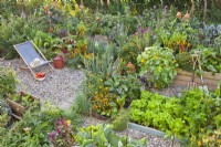 Deckchair on gravel and raised beds with growing crops in kitchen garden.