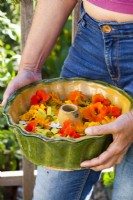 Woman holding cake pan with cut flowers including nasturtium, pot marigold, French marigold, Gaura and Helianthus ' Lemon Queen'.