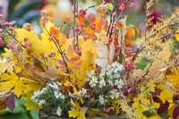 Bouquet containing aster, spindle, larch and autumn foliage.