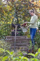 Woman adding waste from the kitchen garden to a compost bin.