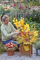 Woman making autumnal arrangement with beech, larch, guelder rose and sweetgum twigs.