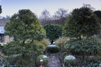 A pair of clipped hollies frame the entrance into the Box Garden  in December.