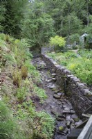 Stream and drystone wall running through the garden. May. 