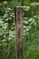 Sign designating 'Silent Space' on wooden post. 