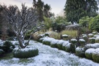Box Garden with a sprinkling of snow in December.