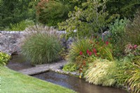 A stream runs between a lawn and herbaceous border, crossed by a bridge that then passes between a clump of Miscanthus sinensis 'Silberspinne' and a dogwood, Cornus nuttallii 'Portlemouth'.