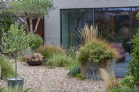 A salvaged galvanised water tank planted with fleabane, perennial wallflowers and pheasant's tail grass, stands between the deck and gravel garden planted with ornamental grasses, fleabane and verbena. Olive trees in pot and old tank.