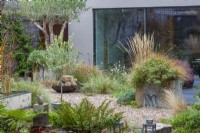 Two salvaged galvanised water tanks are either planted with an old olive tree, or a blend of fleabane, perennial wallflowers and pheasant's tail grass. The gravel garden is planted with ornamental grasses, fleabane, gaura and verbena.