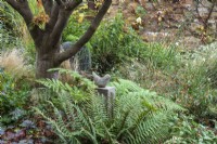 A small stone dove is raised on a plinth amongst ferns, at the feet of a Japanese maple.