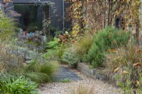 A path is made from wood off-cuts left over from laying the wooden decks, fixed at equal intervals beneath the gravel. To the right, a raised bed contains pheasant tail grass, euphorbia, euonymus, hydrangea, ferns and rosemary. Climbing hydrangea is trained up the wall.