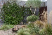 A salvaged galvanised water tank is planted with an old olive tree above fleabane. The gravel garden is planted with ornamental grasses, fleabane, gaura and verbena. Star jasmine is trained up the wall.