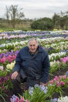 Alan Shipp, holder of a National Collection of Hyacinthus orientalis.