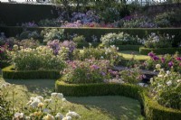 The Renaissance Garden at David Austin Roses with curved low box hedges filled with beds of roses