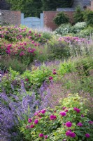 General view of the borders in the rose garden at Wynyard Hall with sanguisorbas, stachys, veronicastrums and catmint.