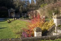 Winter view of the garden at Colesbourne Park, Gloucestershire, with Cornus sanguinea 'Midwinter Fire' in the foreground.