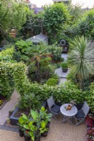 A bird's-eye view of a 9m x 12m town garden planted with evergreen exotics such as the tall central palm, Trachycarpus wagnerianus; dwarf fan palm, Chamaerops humilis 'Vulcano'; tree ferns, Dicksonia antarctica; phormiums, agapanthus, bamboo, loquat and cordyline.