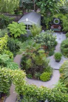 A bird's-eye view of a 9m x 12m town garden planted with evergreen exotics such as the tall central palm, Trachycarpus wagnerianus; dwarf fan palm, Chamaerops humilis 'Vulcano'; tree ferns, Dicksonia antarctica; phormiums, agapanthus, bamboo, loquat and cordyline. An arch and hedge of star jasmine separates the dining area from main garden.