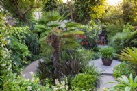 A central bed is planted with the palm Trachycarpus wagnerianus, box, phormiums, eucomis, a loquat tree and crocosmia. To the right on a circular patio stands a pot of agapanthus.