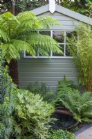 A small water bowl is shaded by tree ferns, bamboo and ferns, in front of the garden shed.