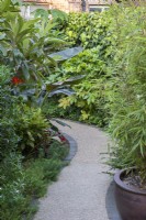 A curving path of a composite flooring material made from resin bound gravel, passes between tall evergreen exotic plants.