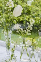 White spring flowers displayed in glass vases -  Aquilegias, Tulipa; Scillas, Anthriscus sylvestris on windowsill 