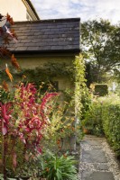 Porch of a country garden in September framed by a colourful planting of amaranthus and tagetes.
