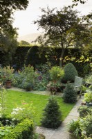 Country garden in September featuring clipped evergreens and flowering plants framed by a hedge.