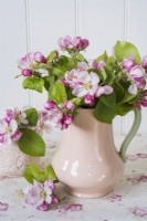 Apple blossom arranged in vintage pink china jug