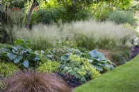 View of shady textural border planted with Deschampsia cespitosa and other grasses and perennials.  