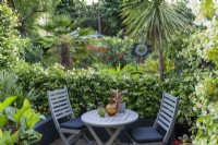 A small dining area beside a hedge of star jasmine, Trachelospermum jasminoides. Beyond, the garden is planted with exotic evergreens such as palms, a loquat, crocosmia and cordyline.