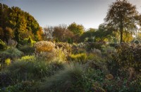 The Winter Garden at Bressingham Gardens in autumn. November.