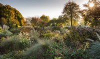 View of mixed beds of grasses and perennials in November. 