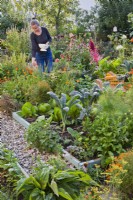 Kitchen garden with raised beds, woman picking pot marigold in the background.