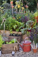 Kitchen garden with containers and raised beds full of growing herbs and vegetables.