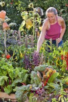 Woman picking purple basil from raised bed full of growing crops.