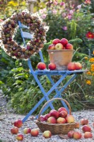 Harvested apples and wreath made from various nuts, berries, poppy seedheads and cones.