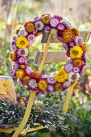 Wreath made from strawflowers.
