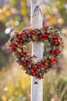 Heart shaped wreath made from rose hips beechnuts and acorns.