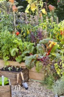 Kitchen garden with raised bed and wooden containers.