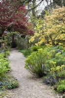 Path through the flower garden at Enys garden in Cornwall in early May
