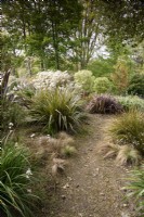 The New Zealand garden at Enys, Cornwall in early May including libertias, astelias and phormiums.