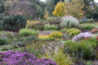 View across mixed borders in The Dell Garden, Autumn 