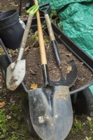 Digging shovels in black plastic wheelbarrow filled with dirt in backyard garden in summer