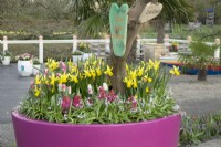 Container filled with Tulips and Daffodils and colourful nameplates on branch.