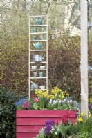 Wooden purple painted containers filled with Hyacinths, Muscari, Tulips and Daffodils in front of decoration with kettles and teacups.
